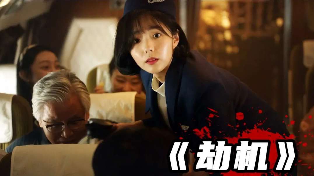 犯叔说影 - 2024韩国最新电影【劫机】